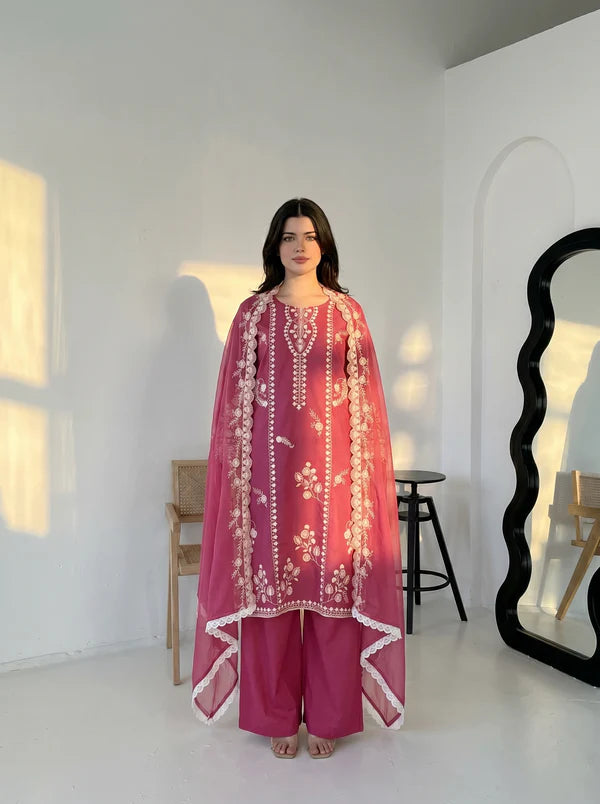 3Pc Vaneeza Embroidered